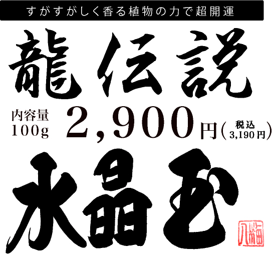 龍伝説2900円